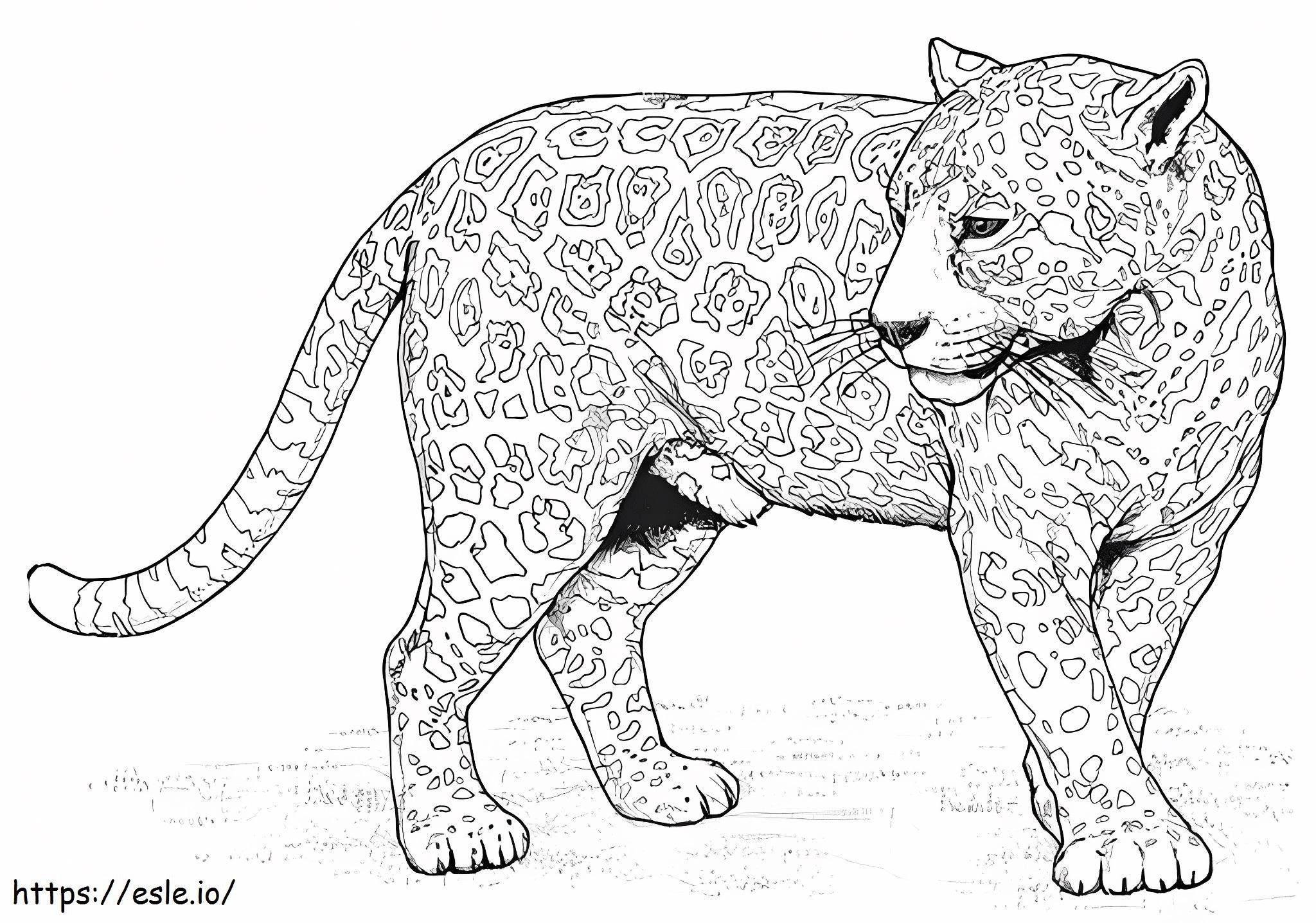 Normal Panther coloring page