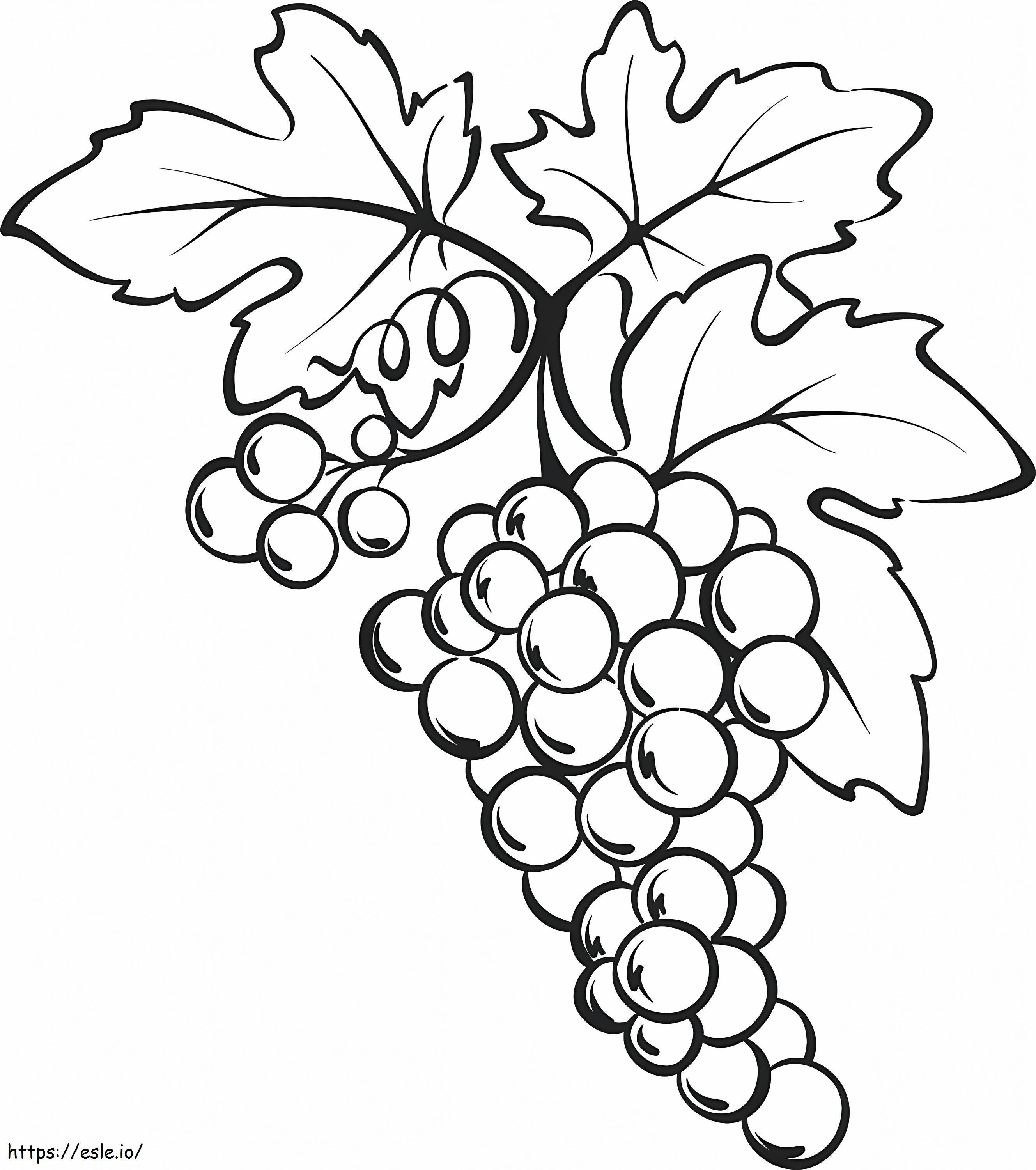 Kiść winogron kolorowanka
