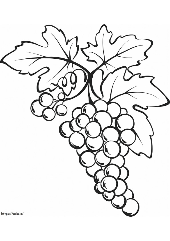 Coloriage Une grappe de raisin à imprimer dessin