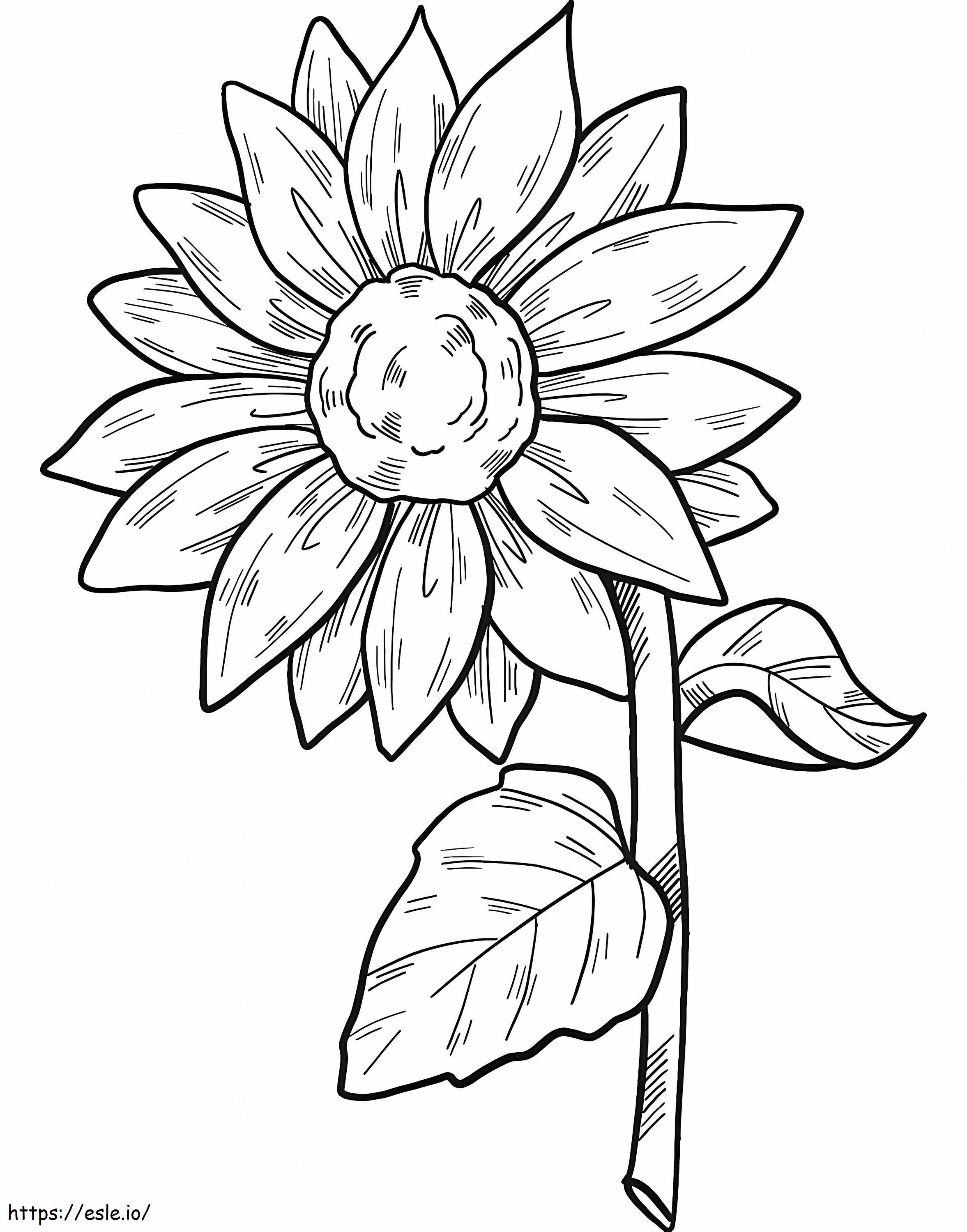 Sunflower To Print coloring page