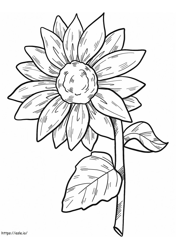 Sunflower To Print coloring page