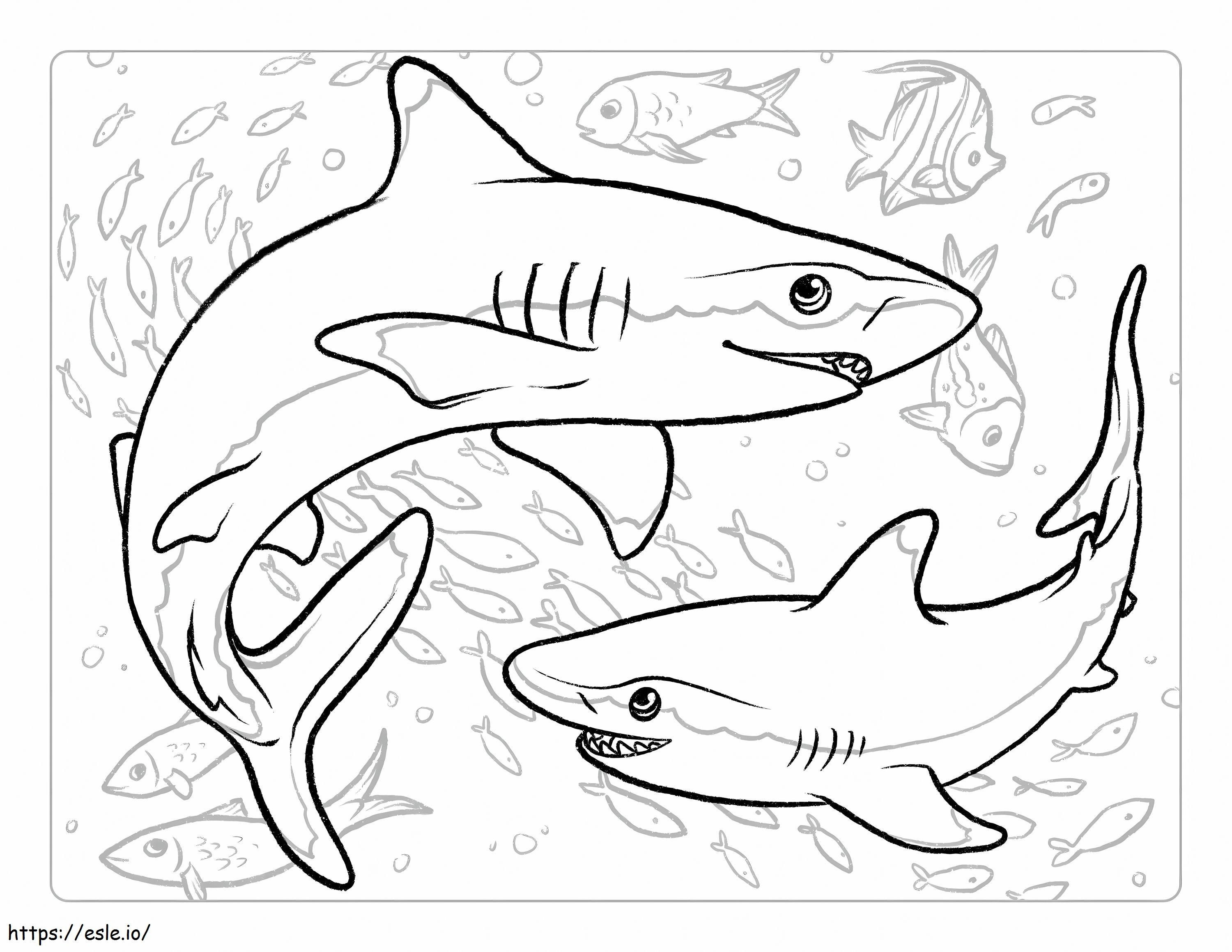 Coloriage Deux requins à imprimer dessin