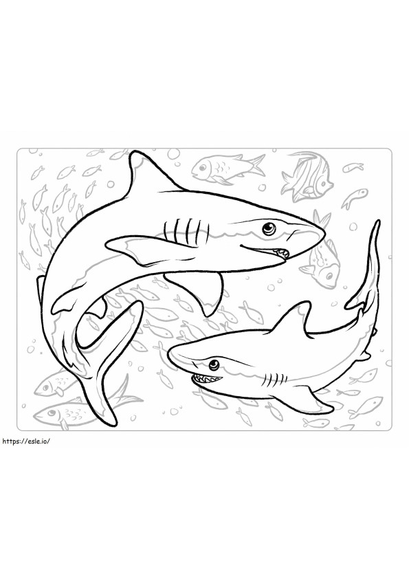 Coloriage Deux requins à imprimer dessin