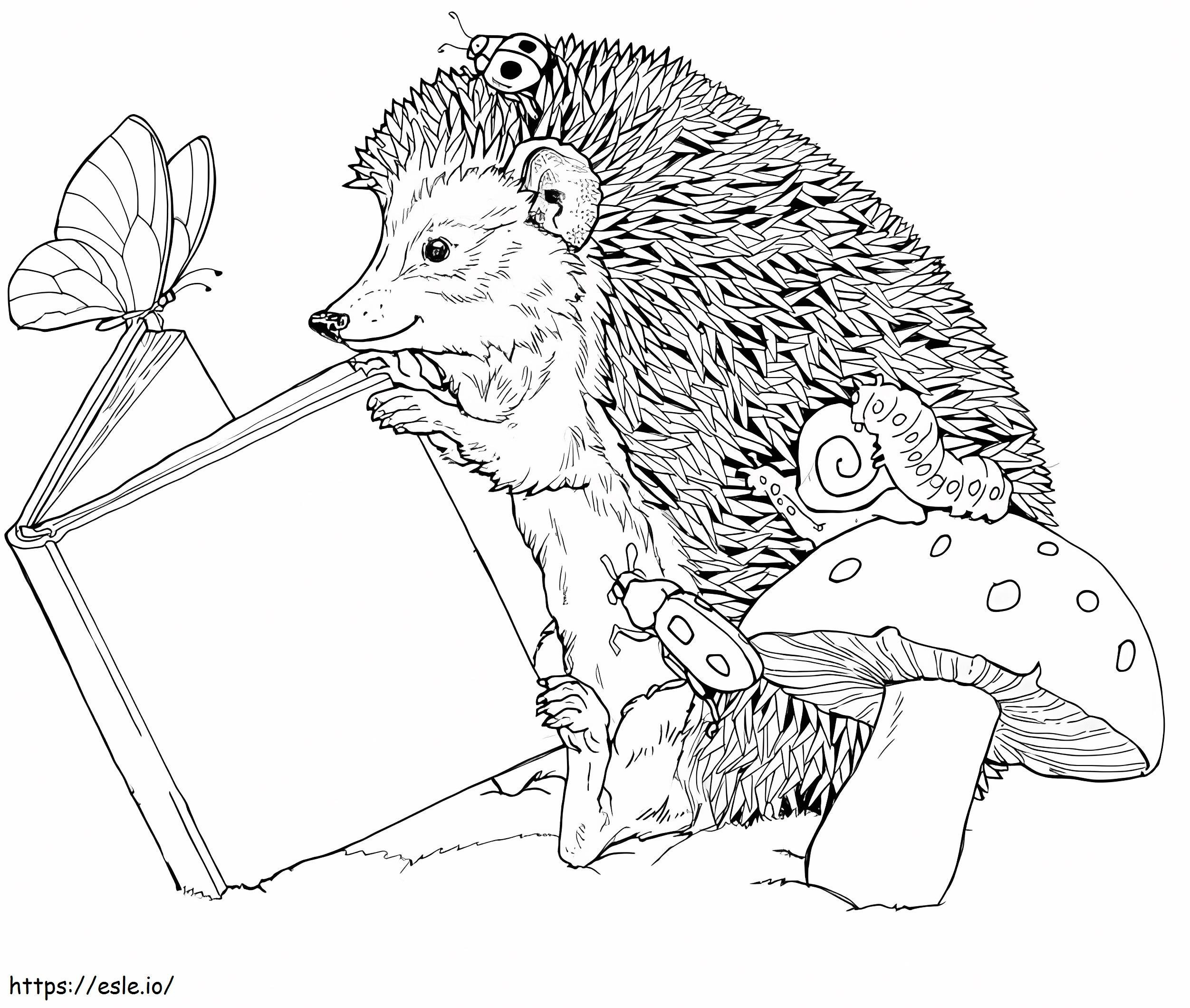 Hedgehog Reading Book coloring page
