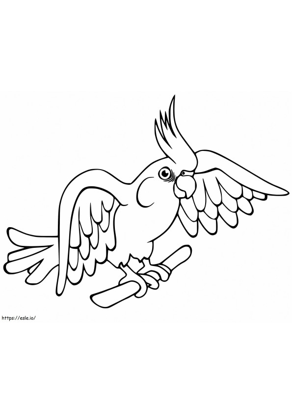 White Faced Cockatiel coloring page