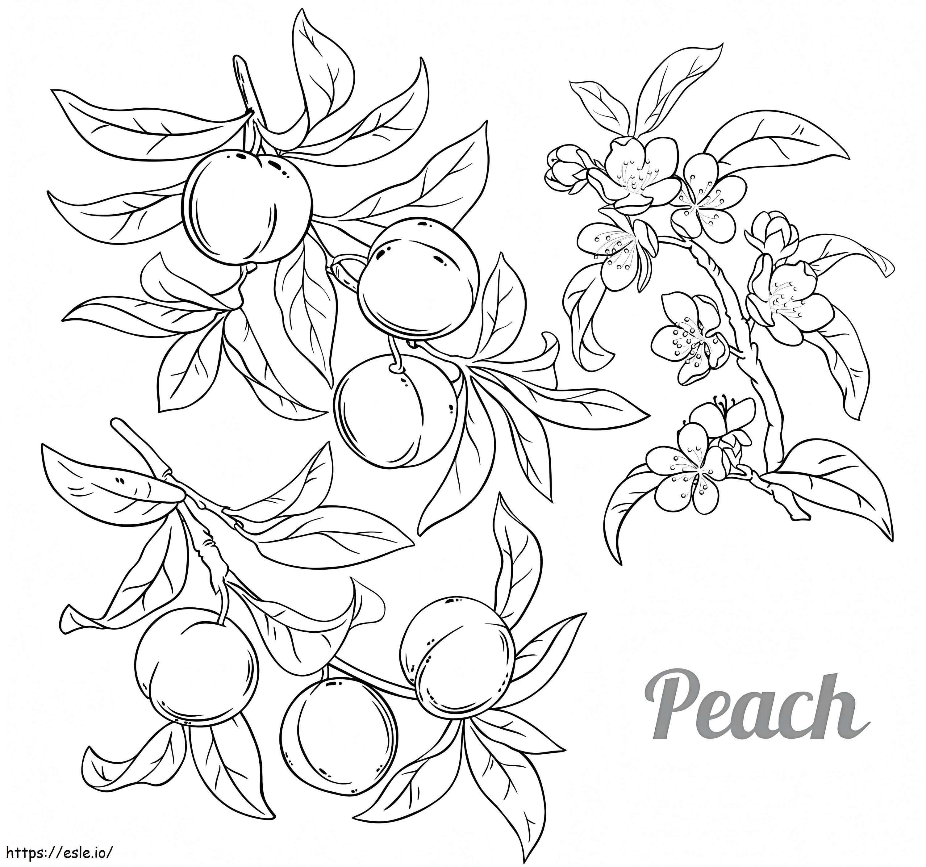 Peaches coloring page