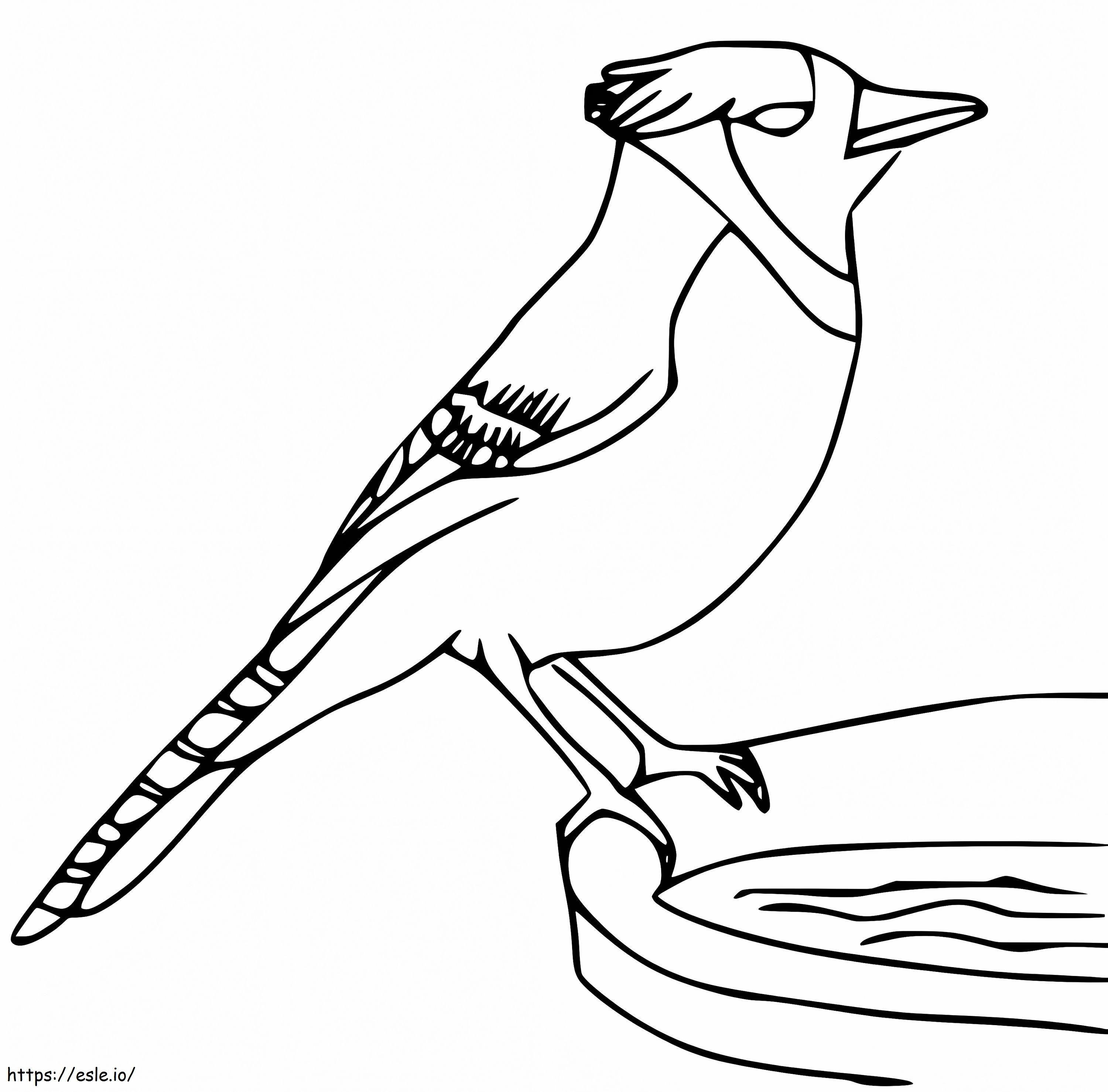 Printable Blue Jay coloring page
