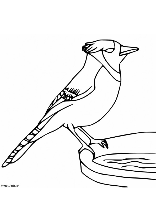 Imprimível Blue Jay para colorir