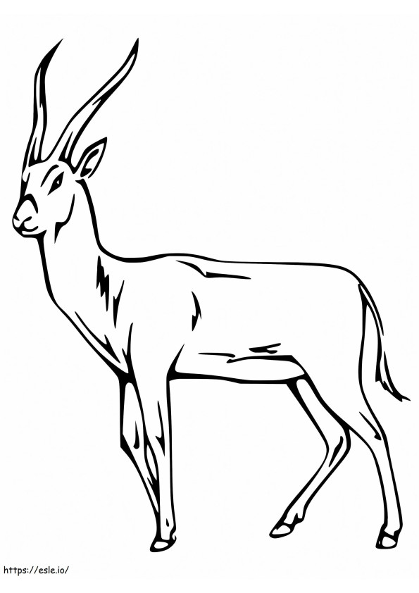 Coloriage Gazelle 3 à imprimer dessin