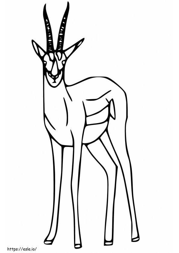 Antilopa 5 de colorat