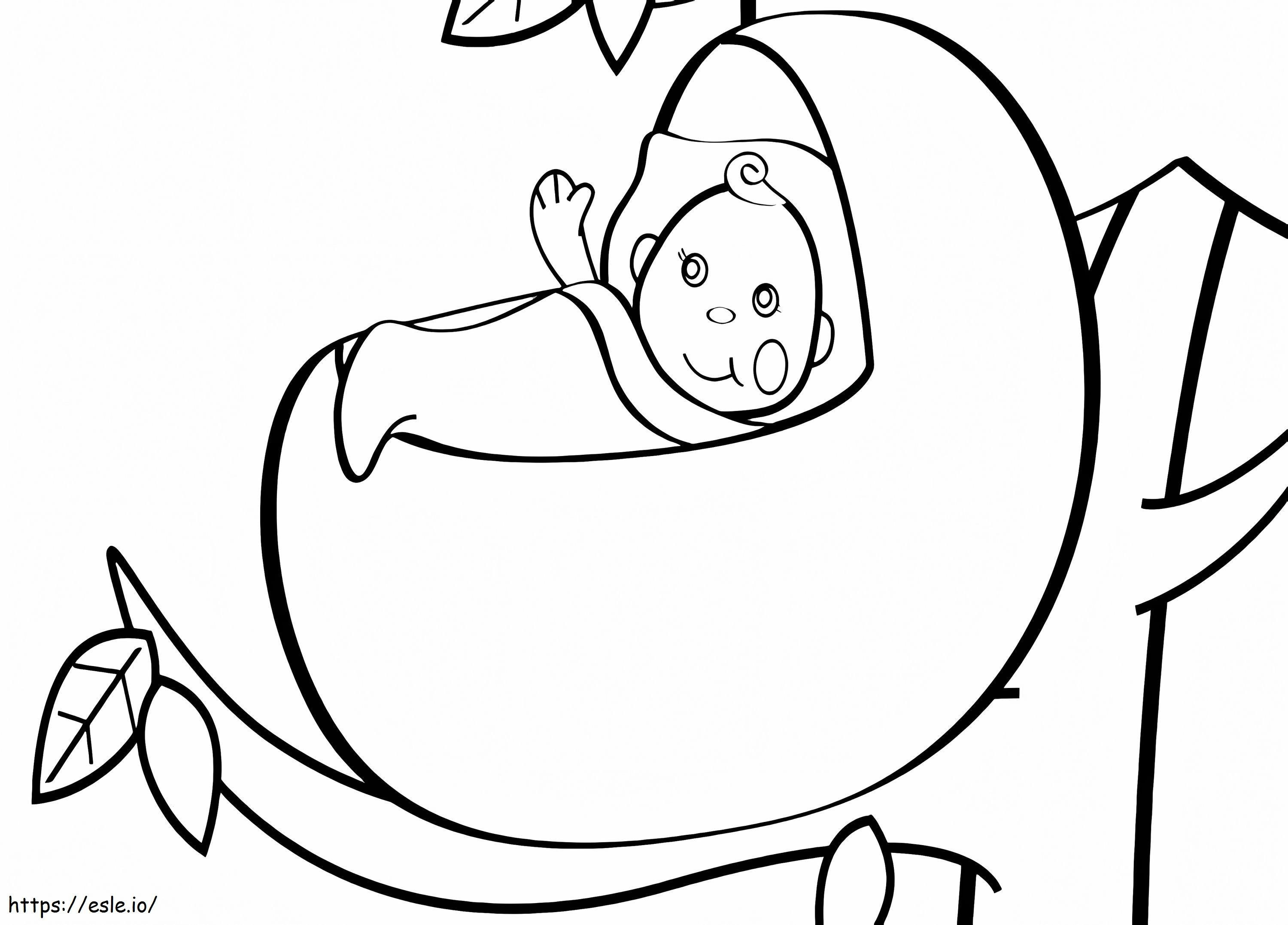 Baby On A Branch coloring page