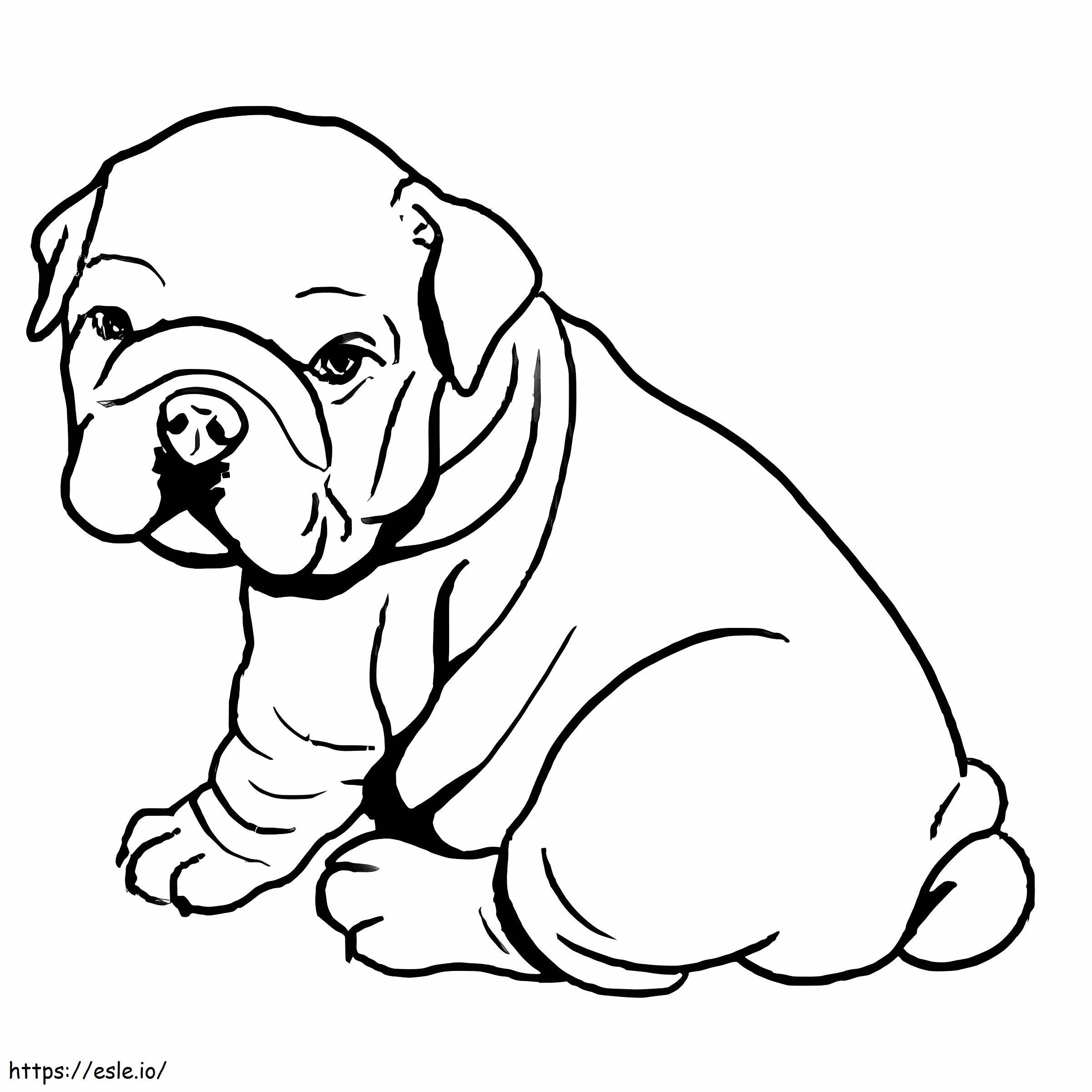 Baby Bulldog zitten kleurplaat kleurplaat