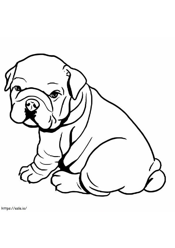 Bulldog bambino seduto da colorare
