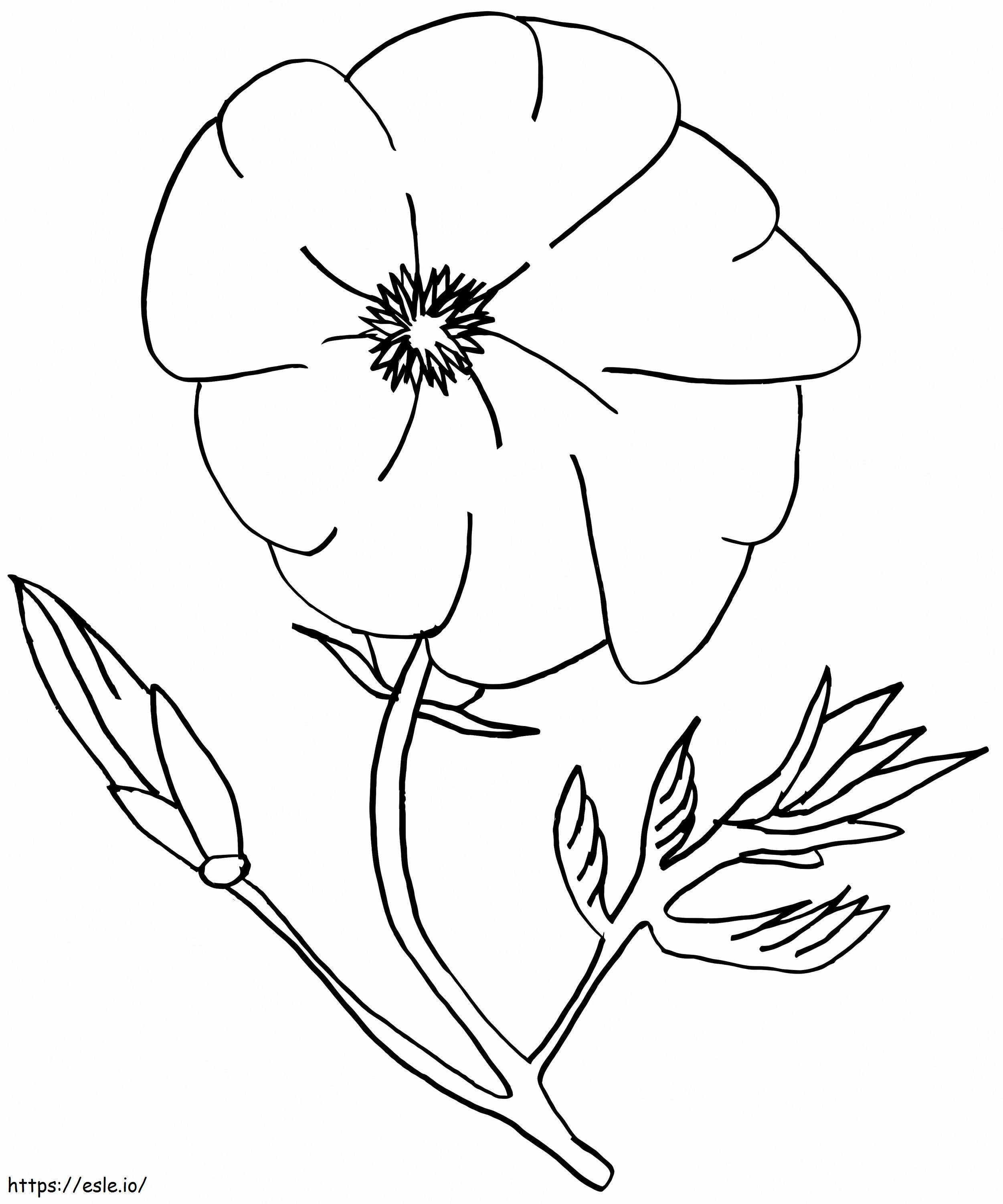 Beautiful Poppy coloring page