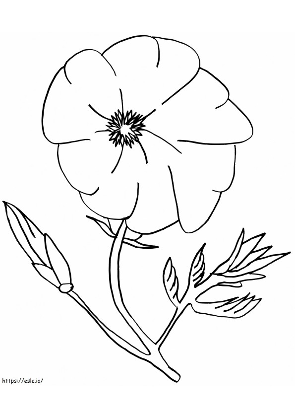 Beautiful Poppy coloring page