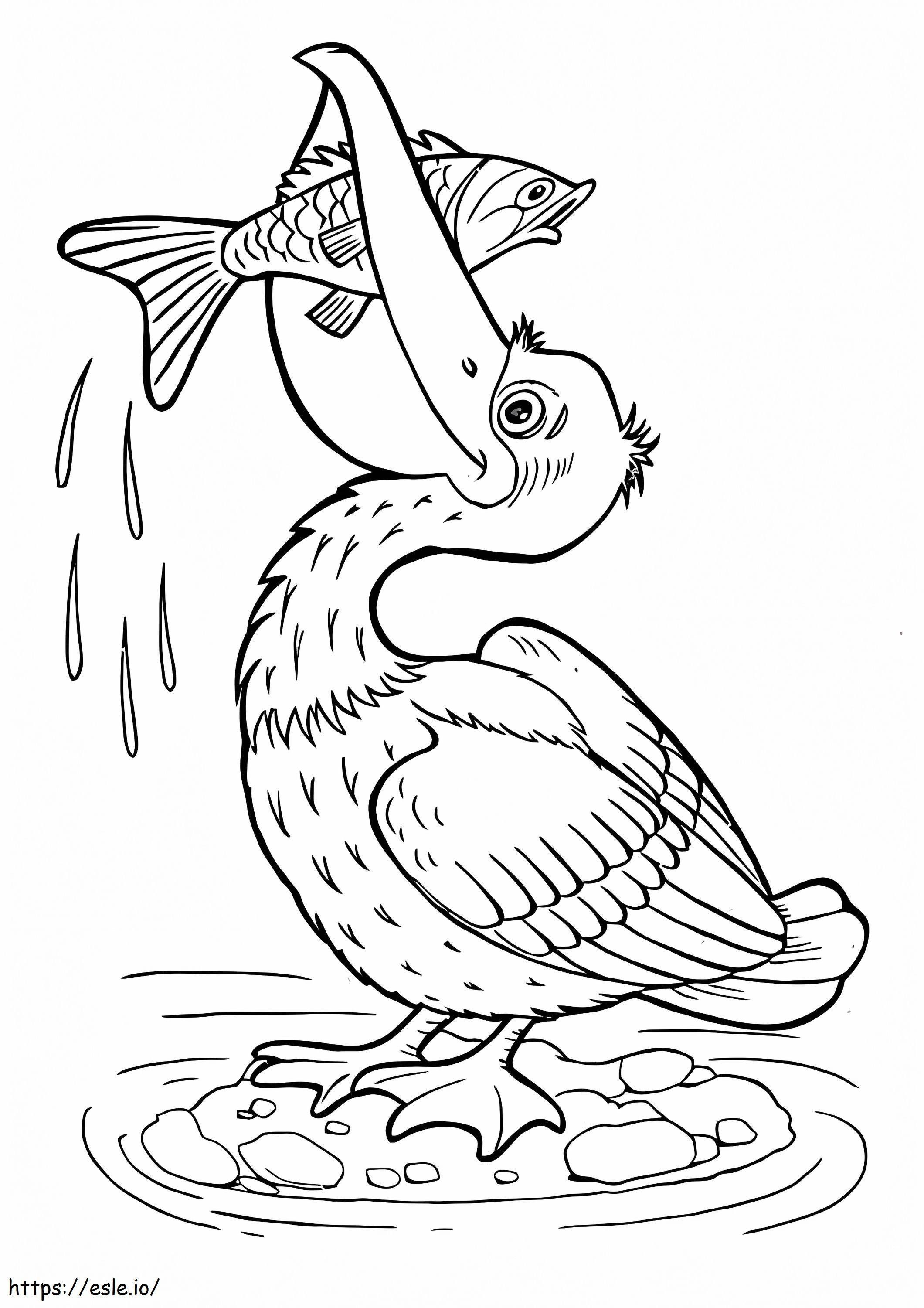 Coloriage Pélican de base mangeant du poisson à imprimer dessin