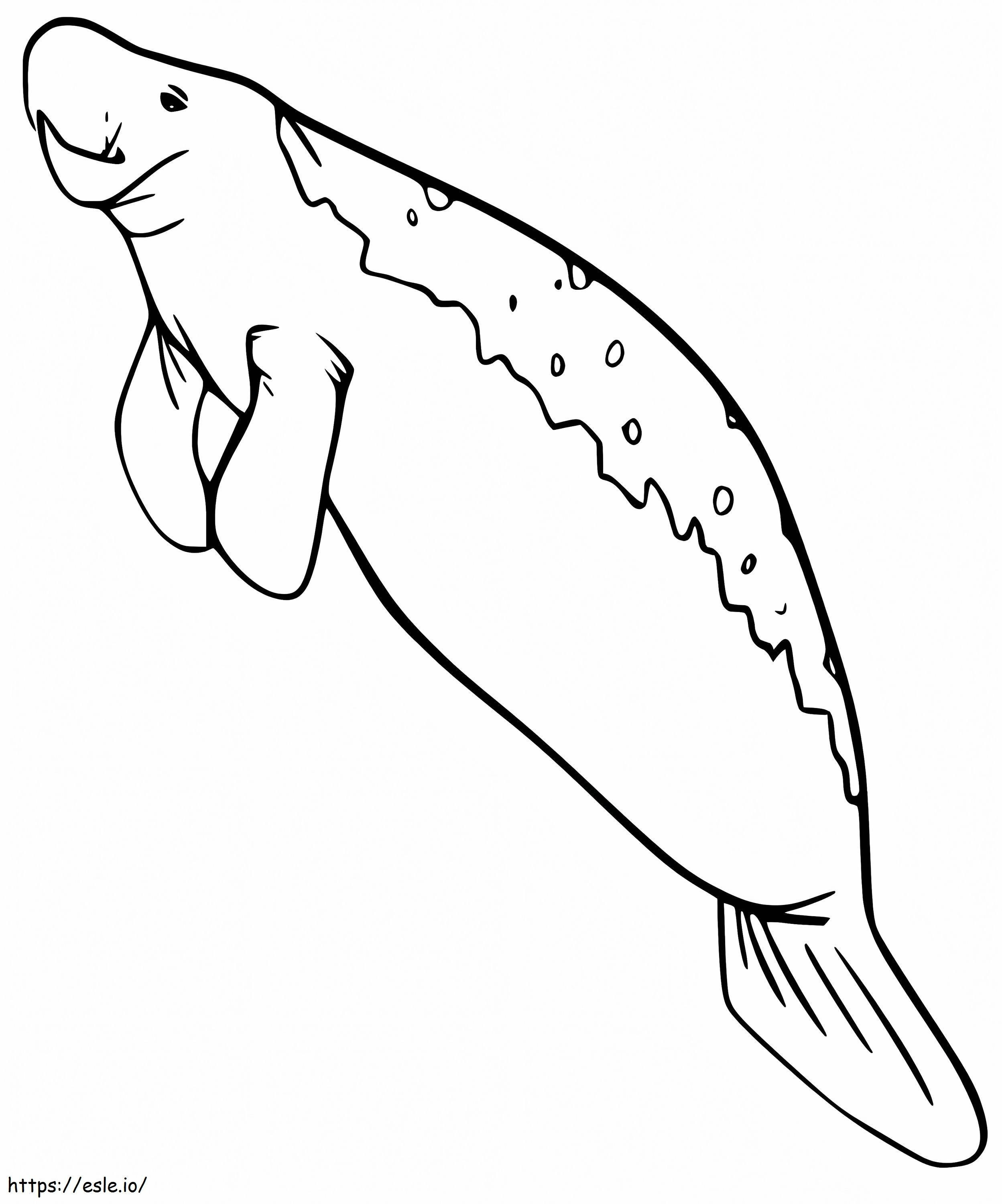 Manatee 2 coloring page