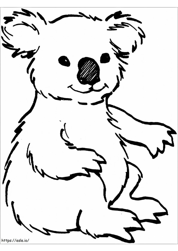 coala sentado para colorir