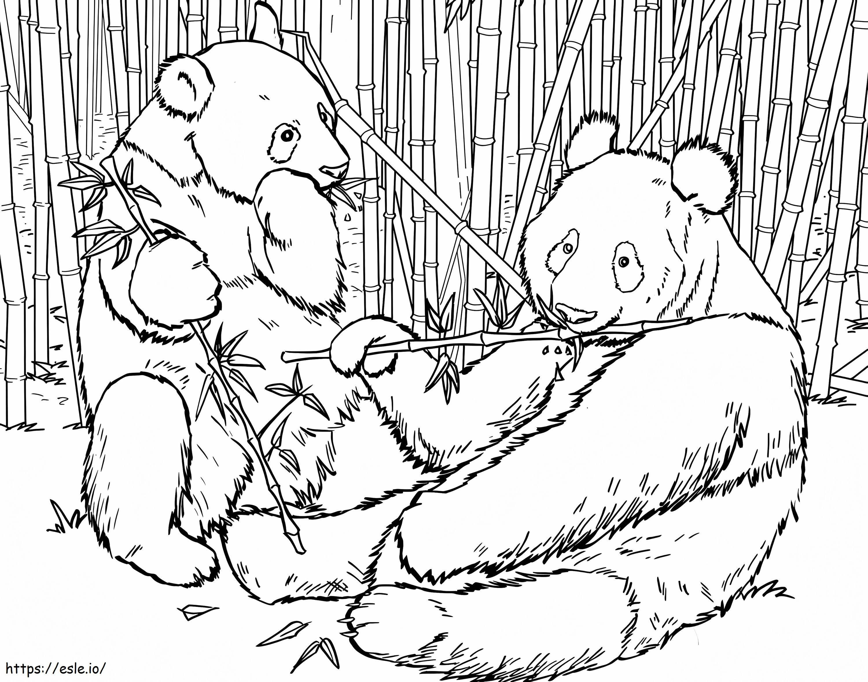 Two Pandas coloring page