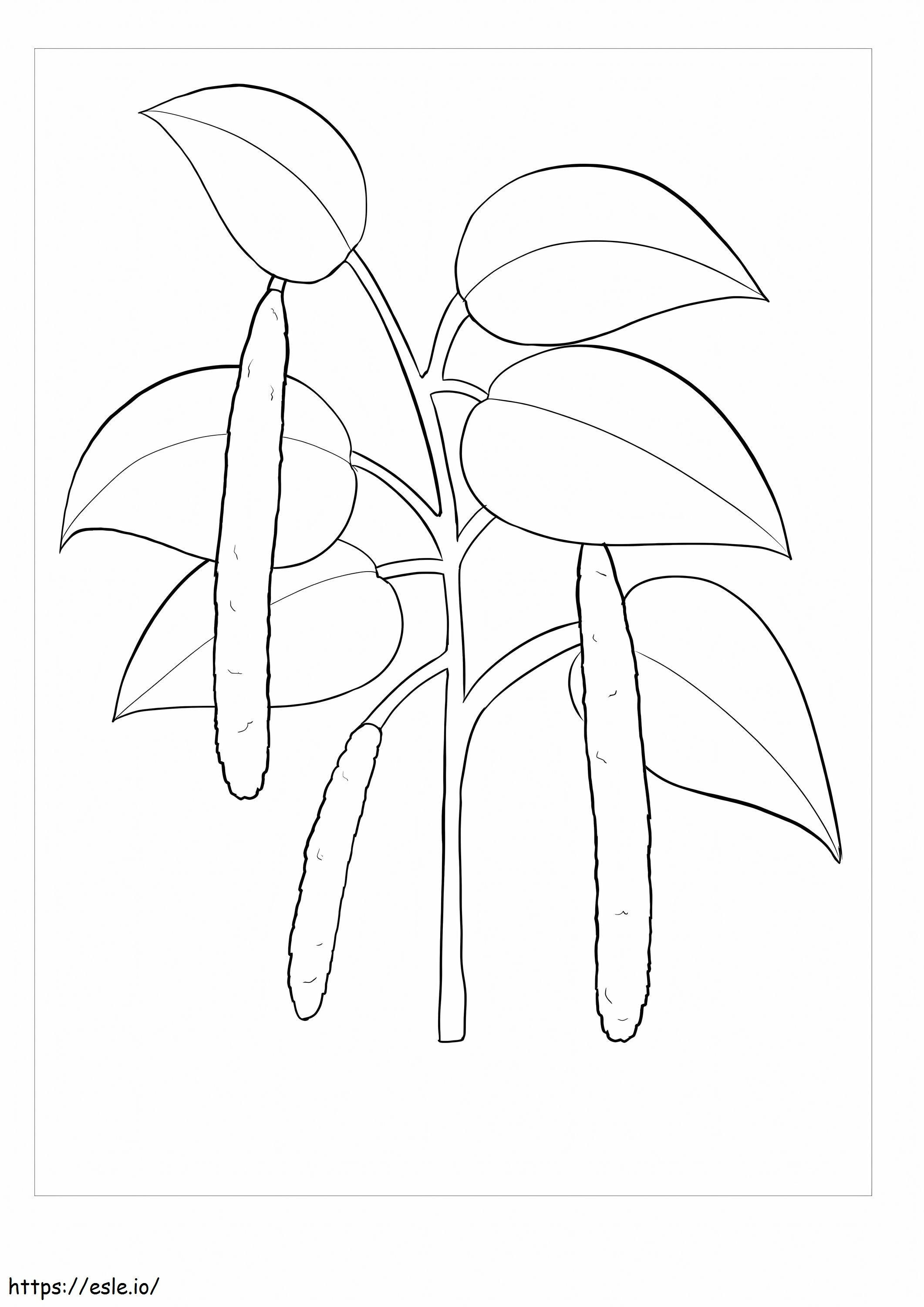 Gardenia imprimible para colorear