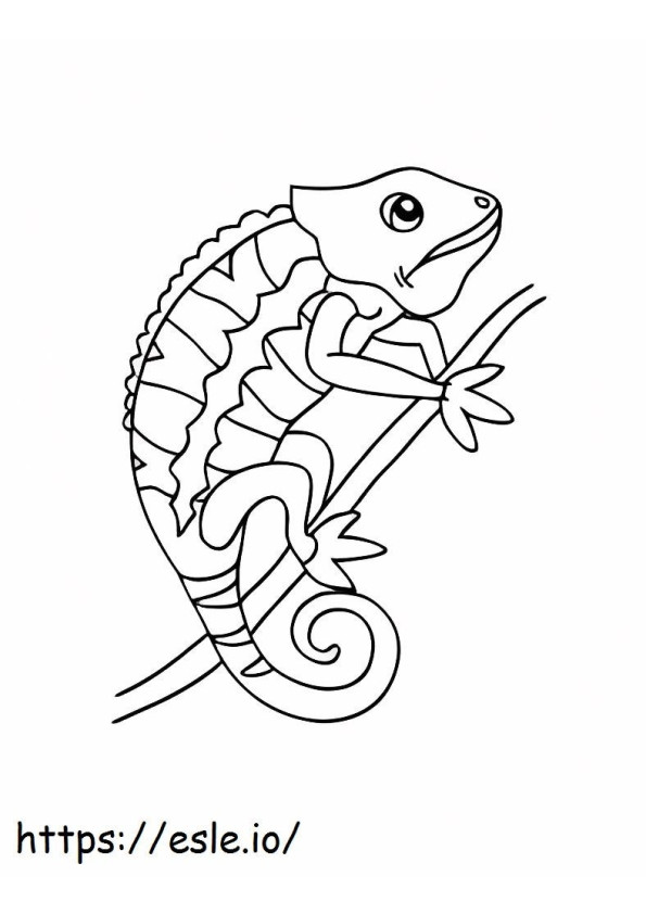Printable Chameleon coloring page