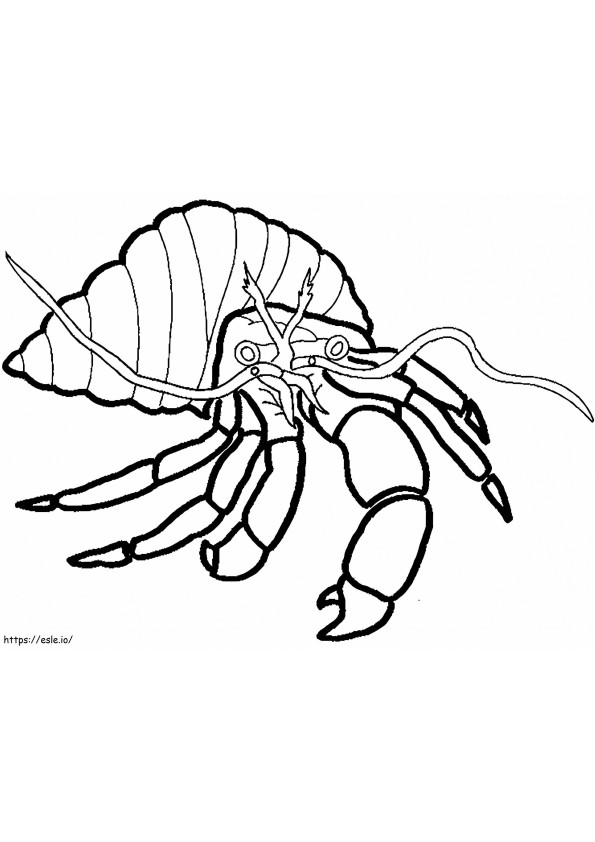 Hermit Crab 7 coloring page