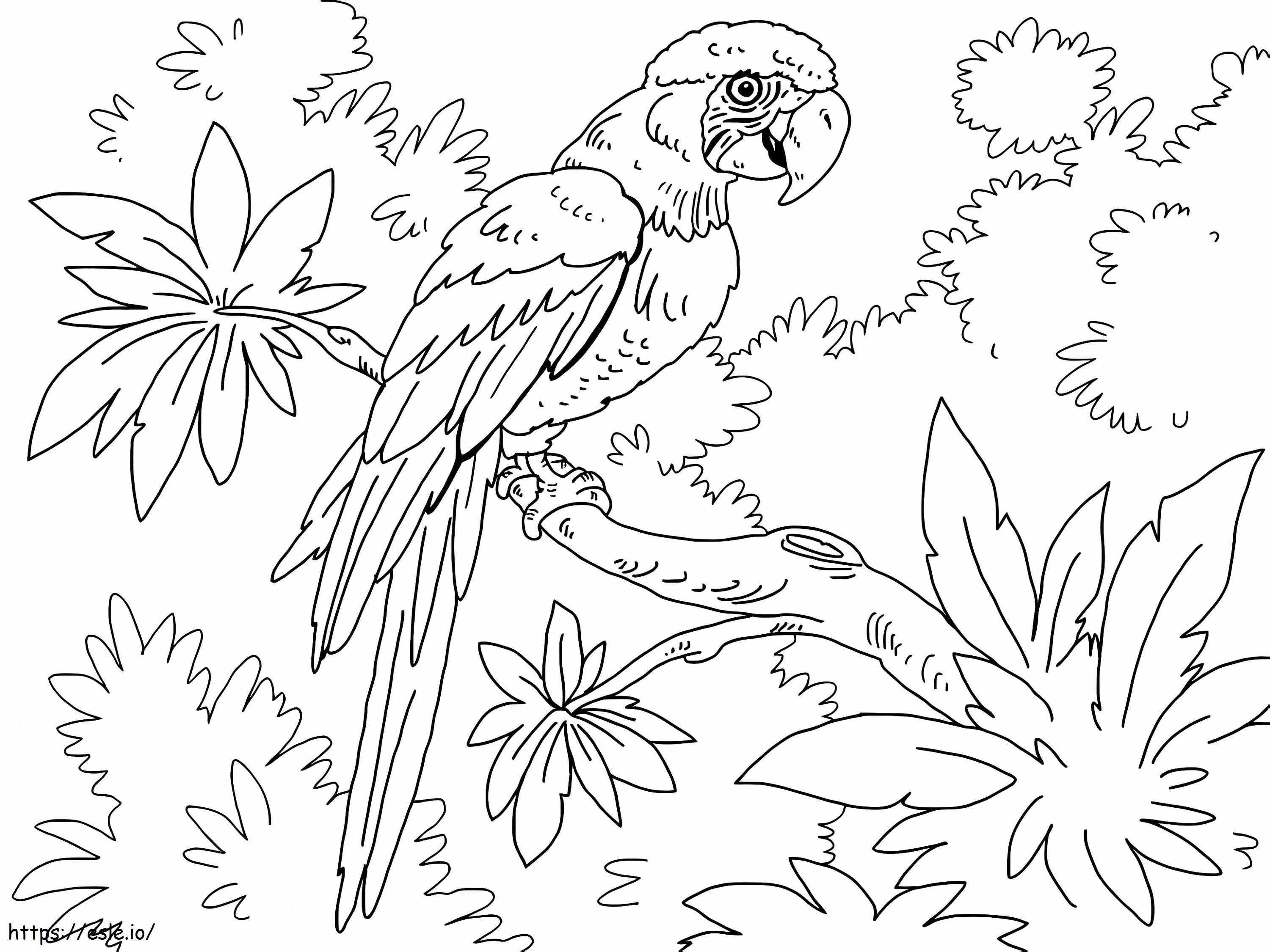 Macaw în junglă de colorat