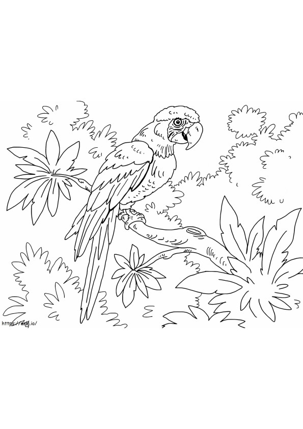 Macaw In The Jungle coloring page