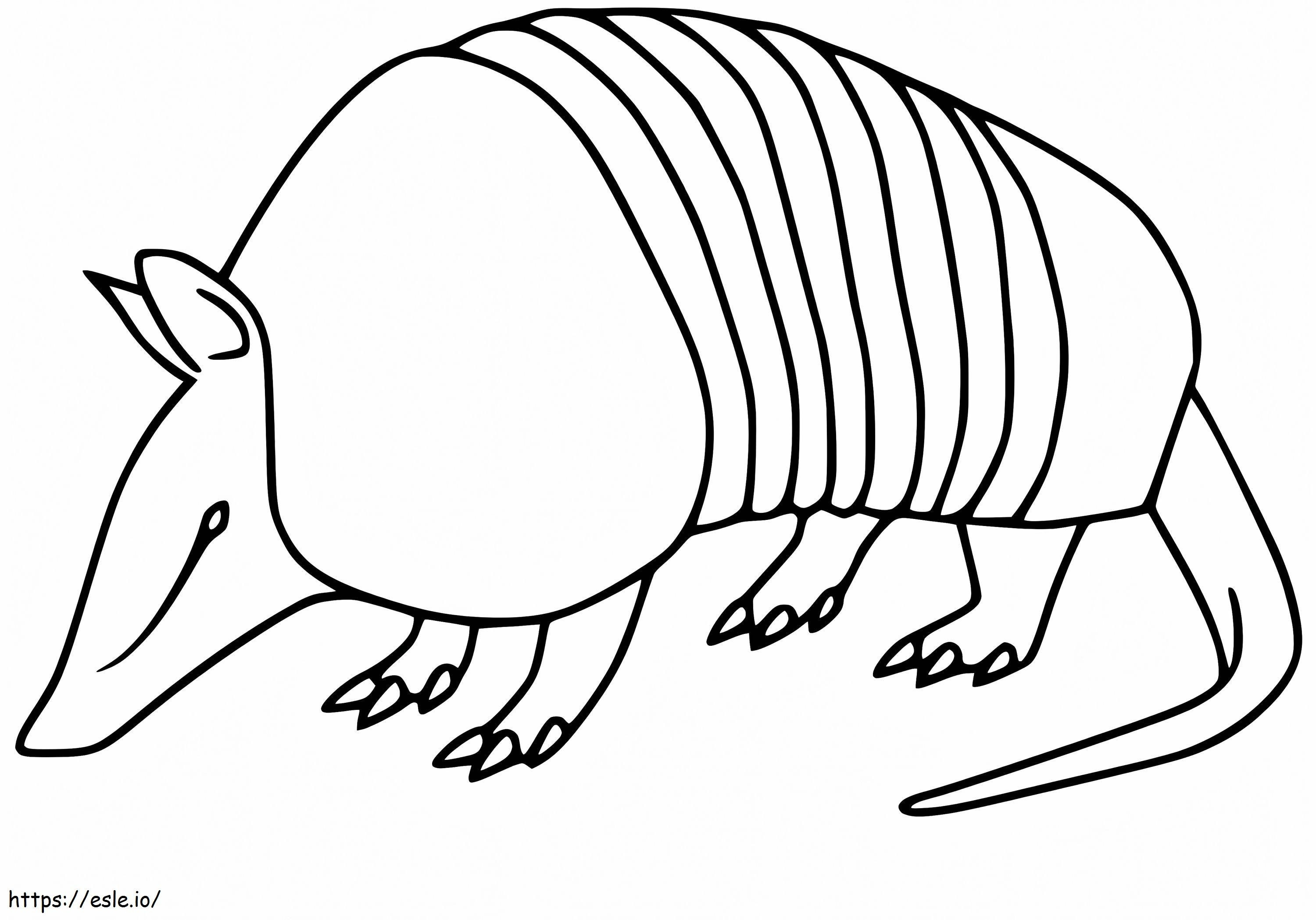 Easy Armadilo coloring page