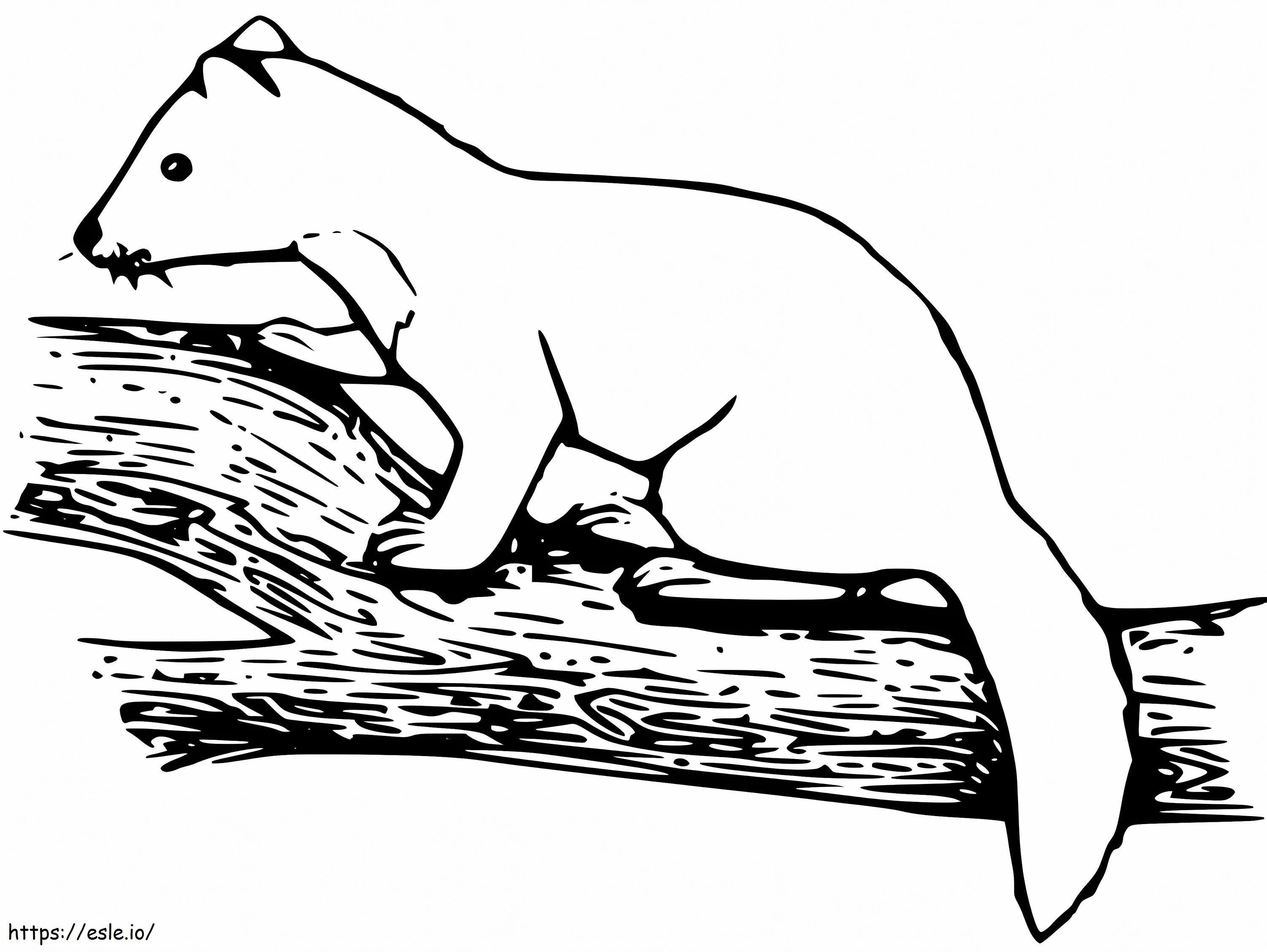 Marten On A Branch coloring page