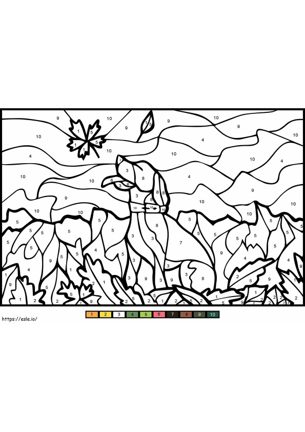 Dog Color By Number coloring page