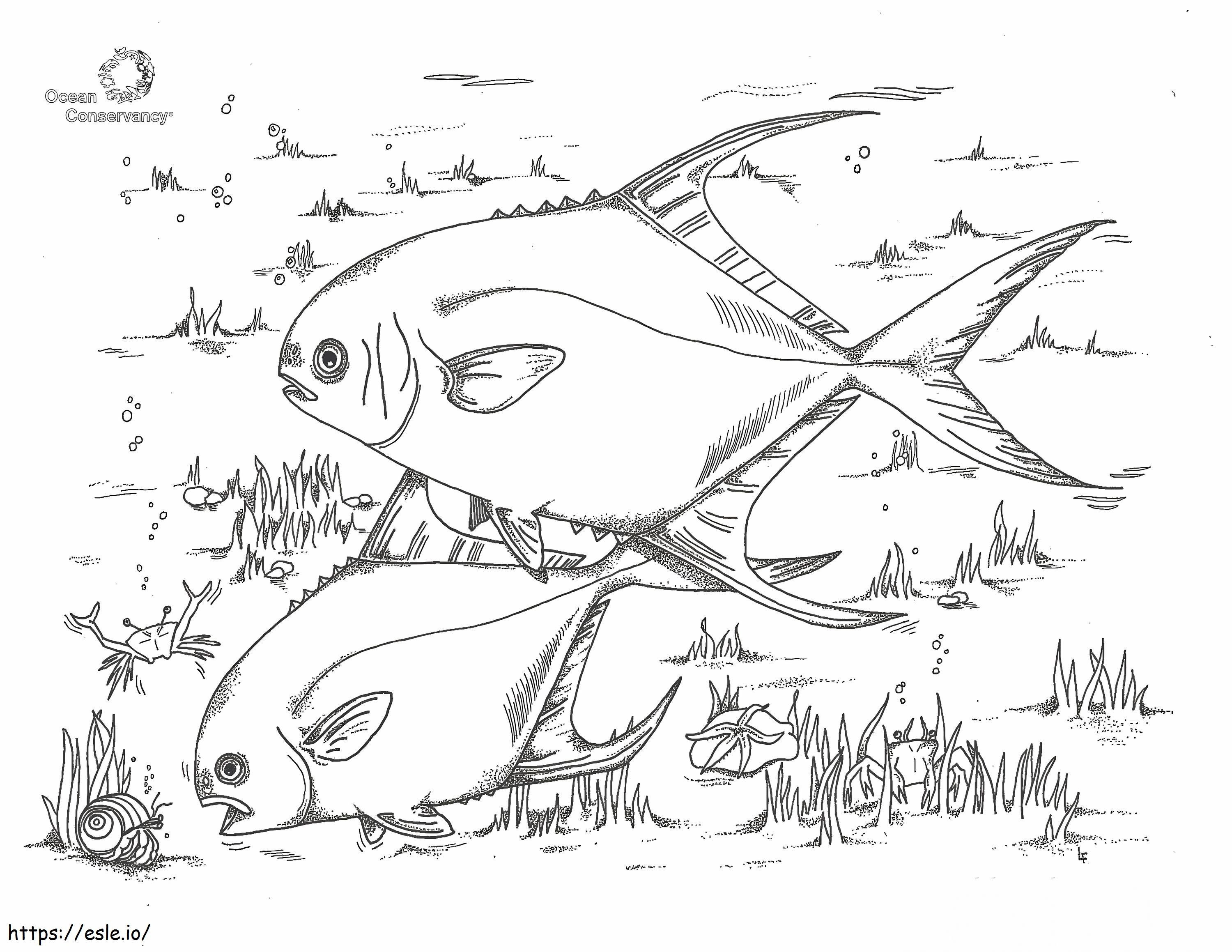 Coloriage Deux poissons normaux à imprimer dessin