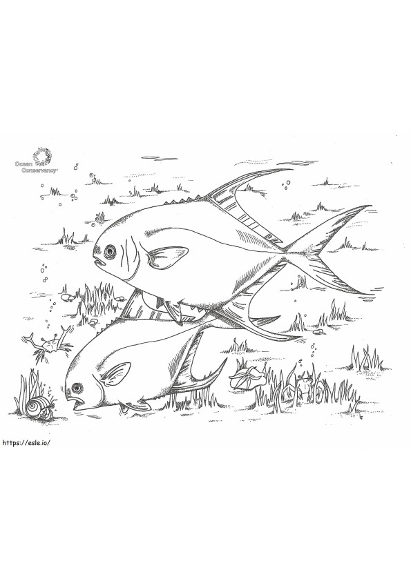 Two Normal Fish coloring page