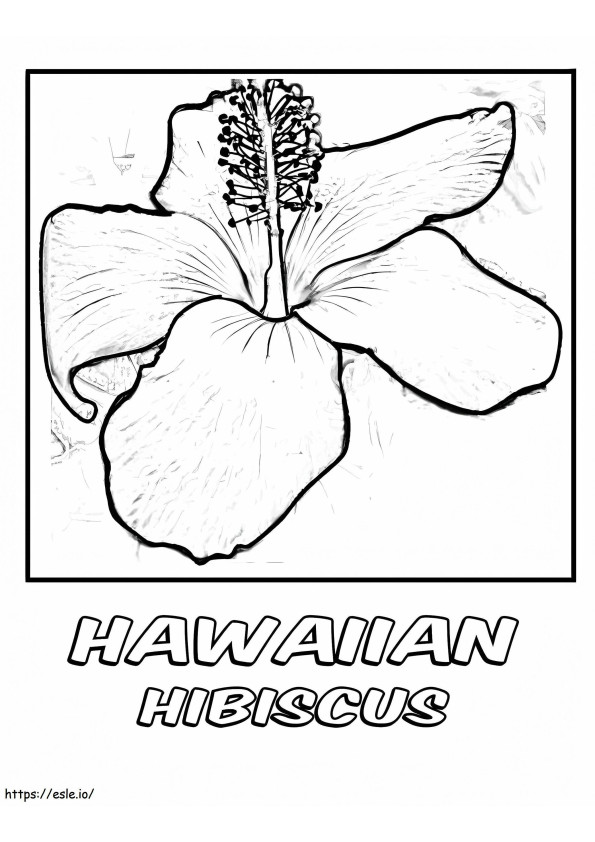 Flor de hibisco hawaiana para colorear