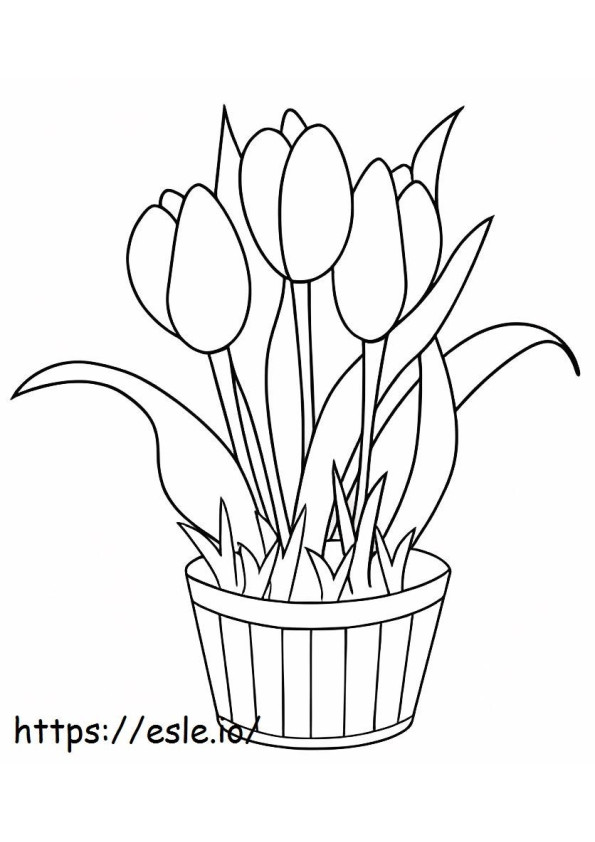Tulipán imprimible para colorear