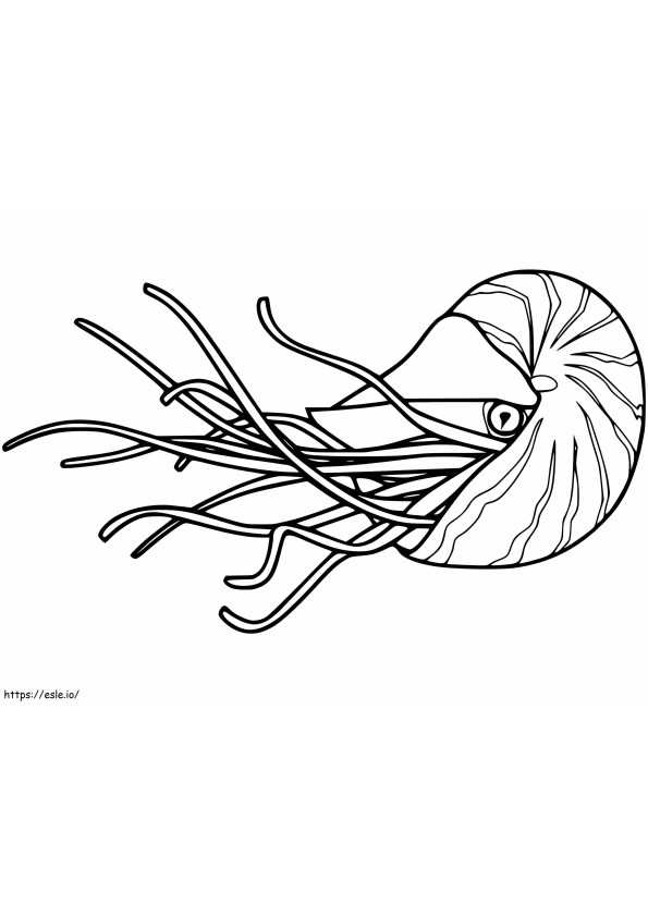 Normal Nautilus coloring page
