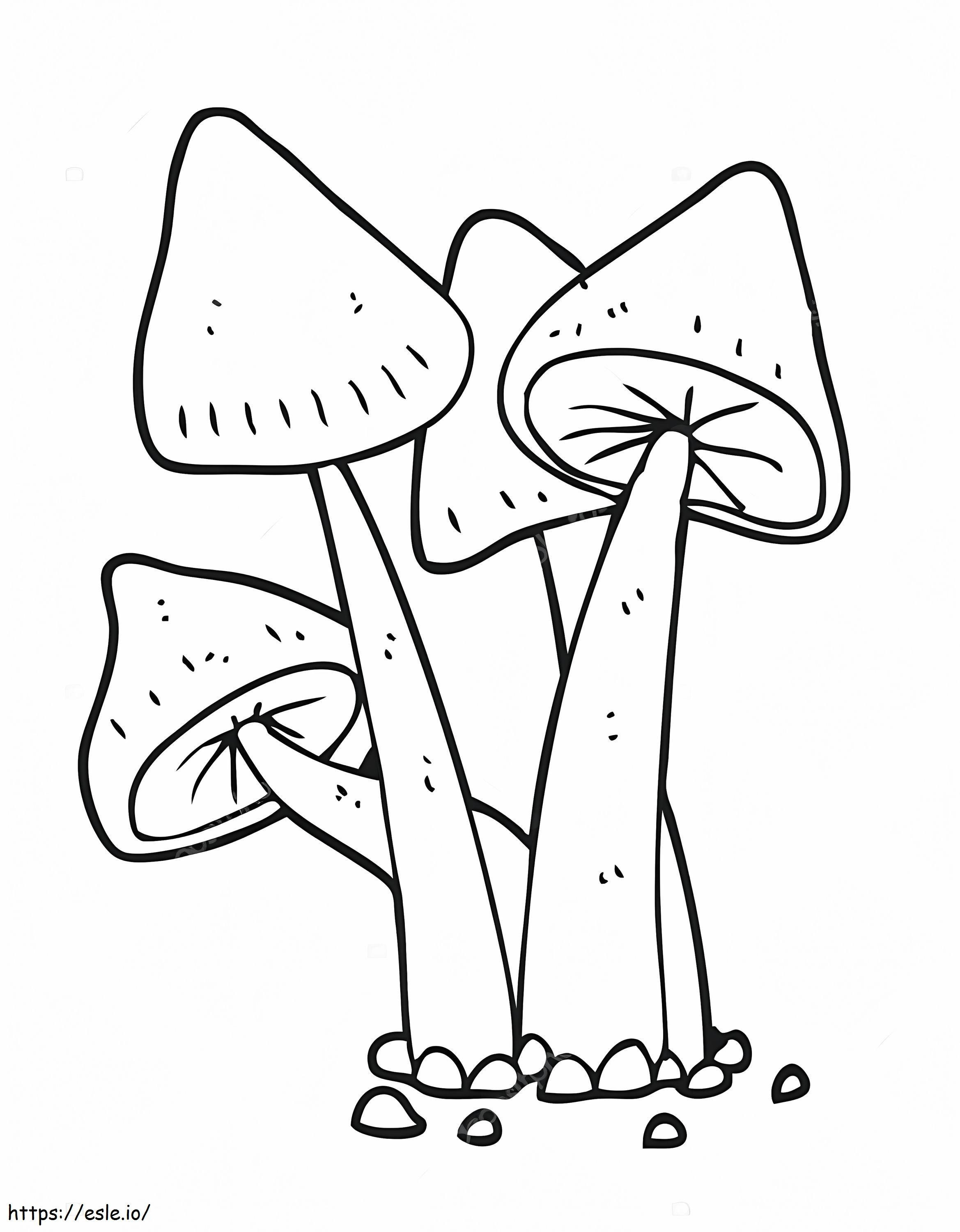 Pilze 6 ausmalbilder