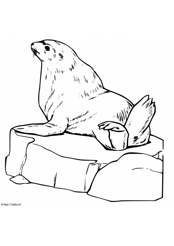 A Sea Lion On Ice coloring page