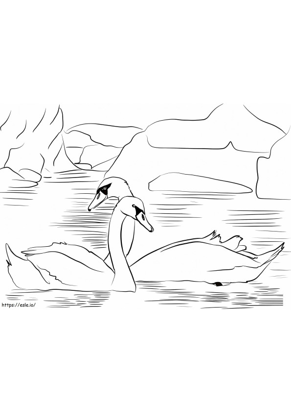 Two Swans coloring page