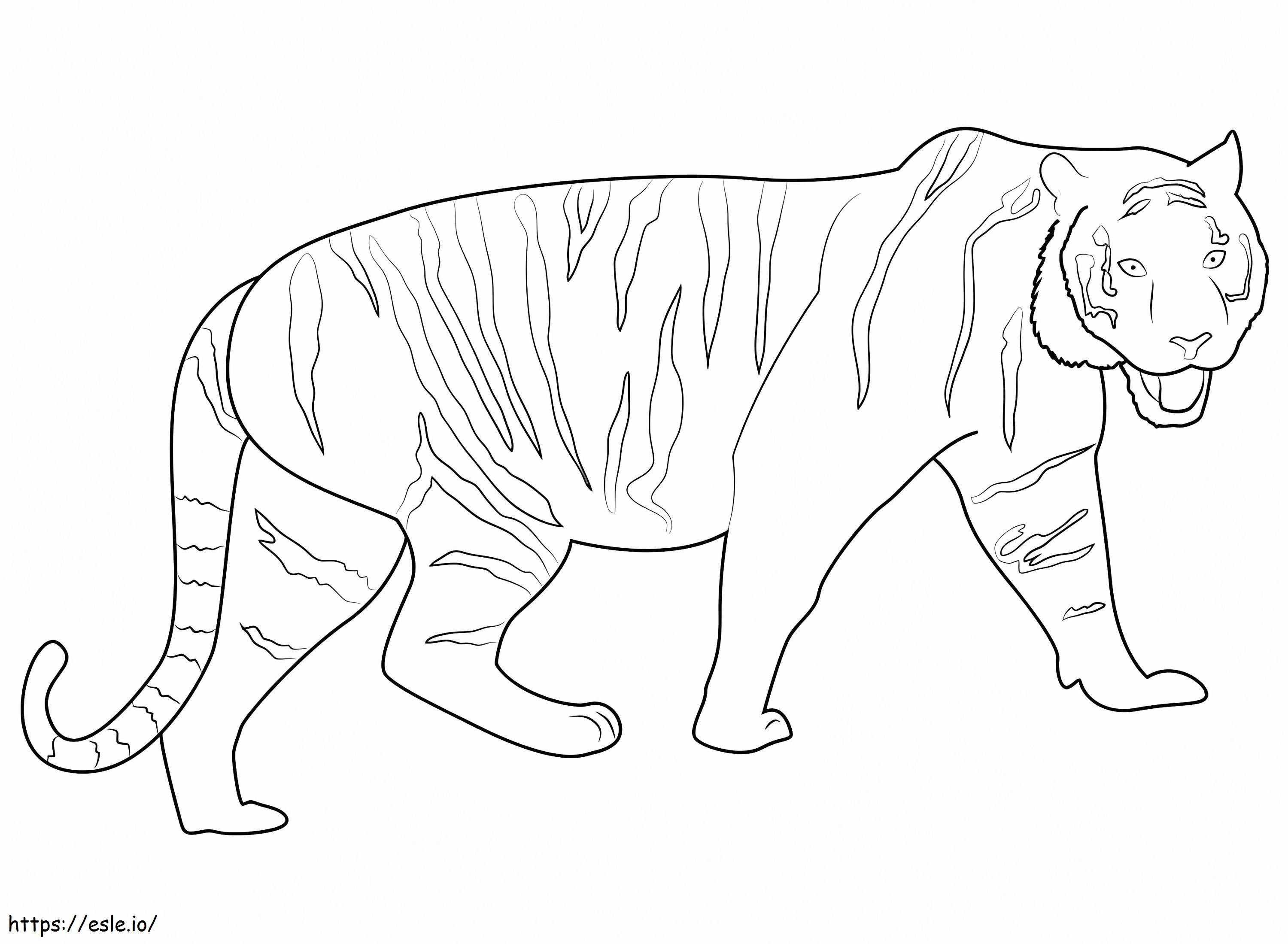 Tigre salvaje caminando para colorear