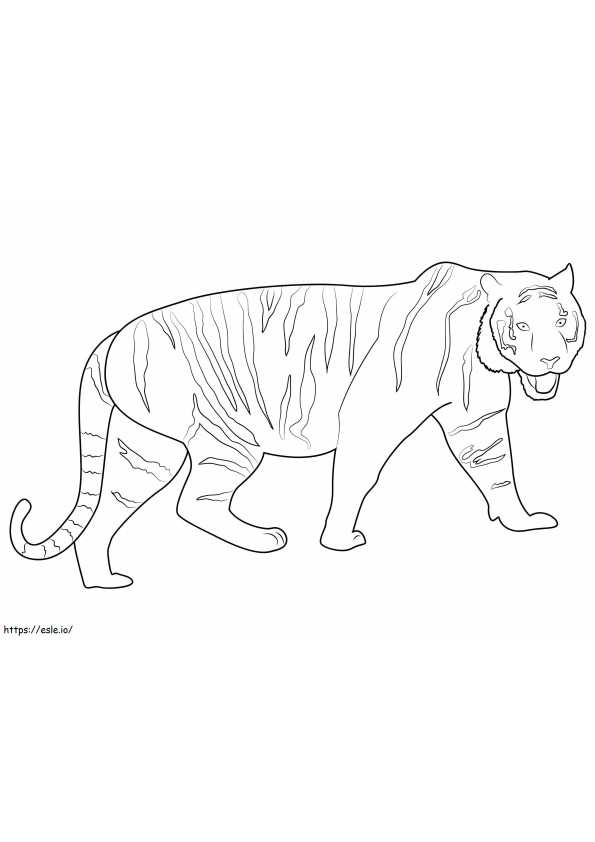 Wild Tiger Walking coloring page