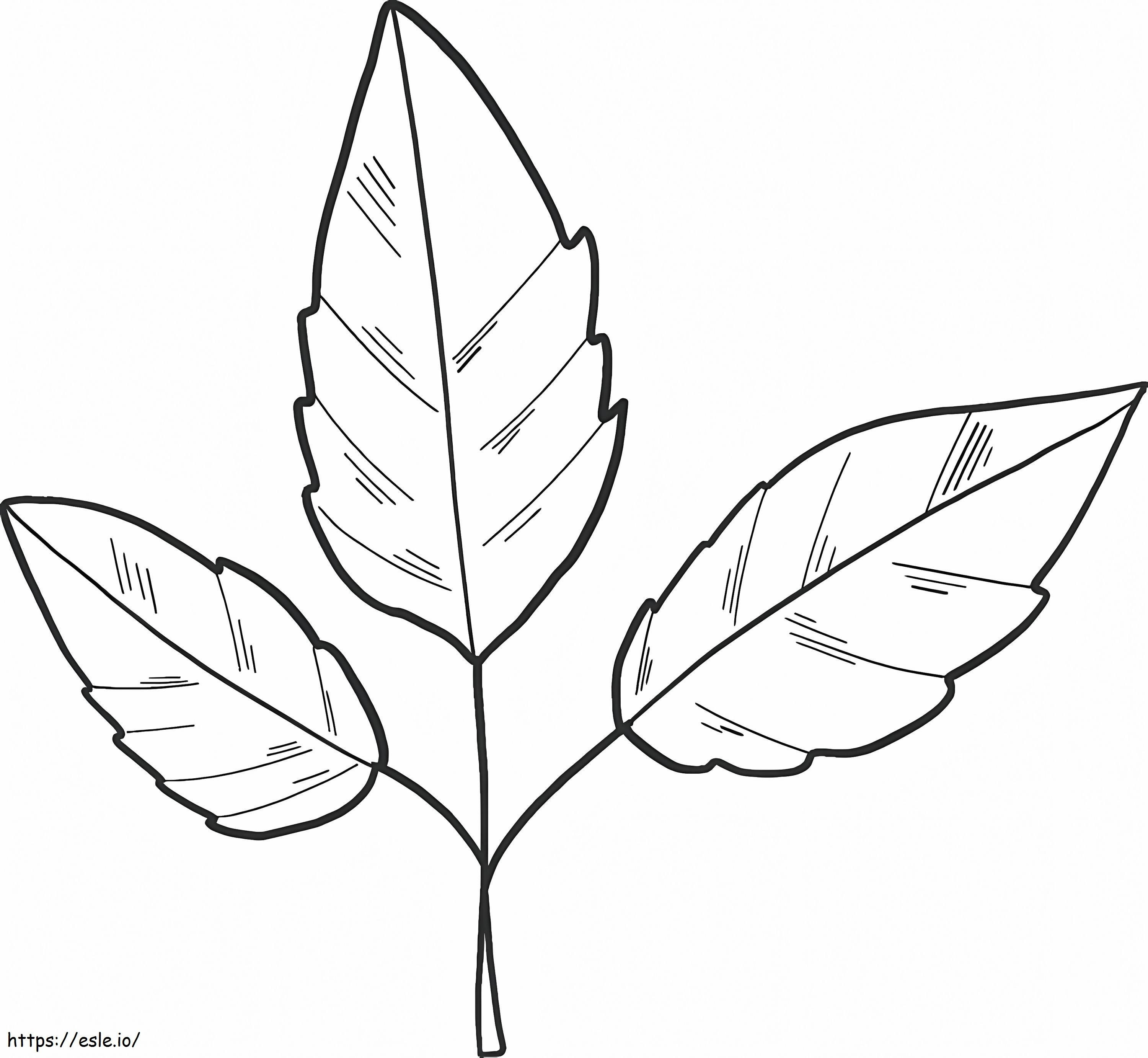 Jesienne liście kolorowanka