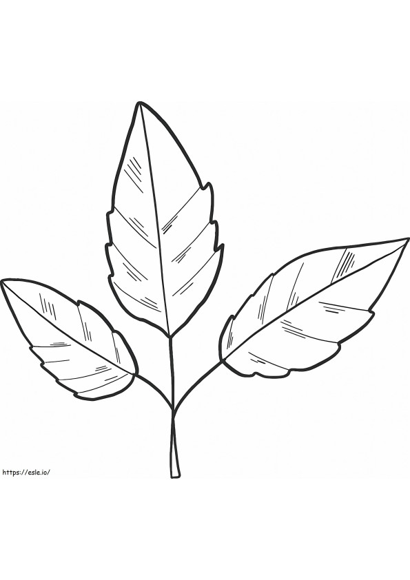 Jesienne liście kolorowanka