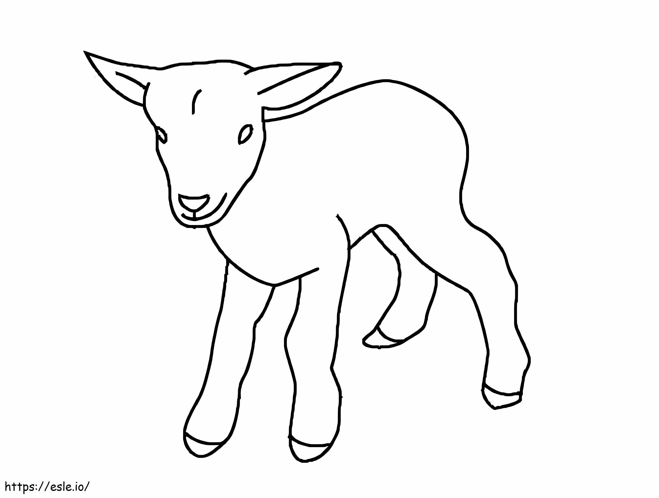 Baby Goat coloring page