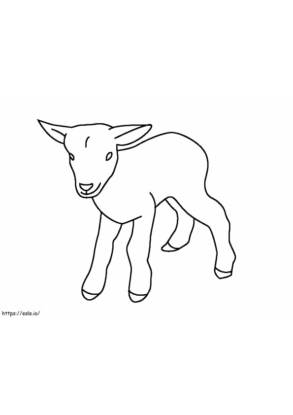 Baby Goat coloring page