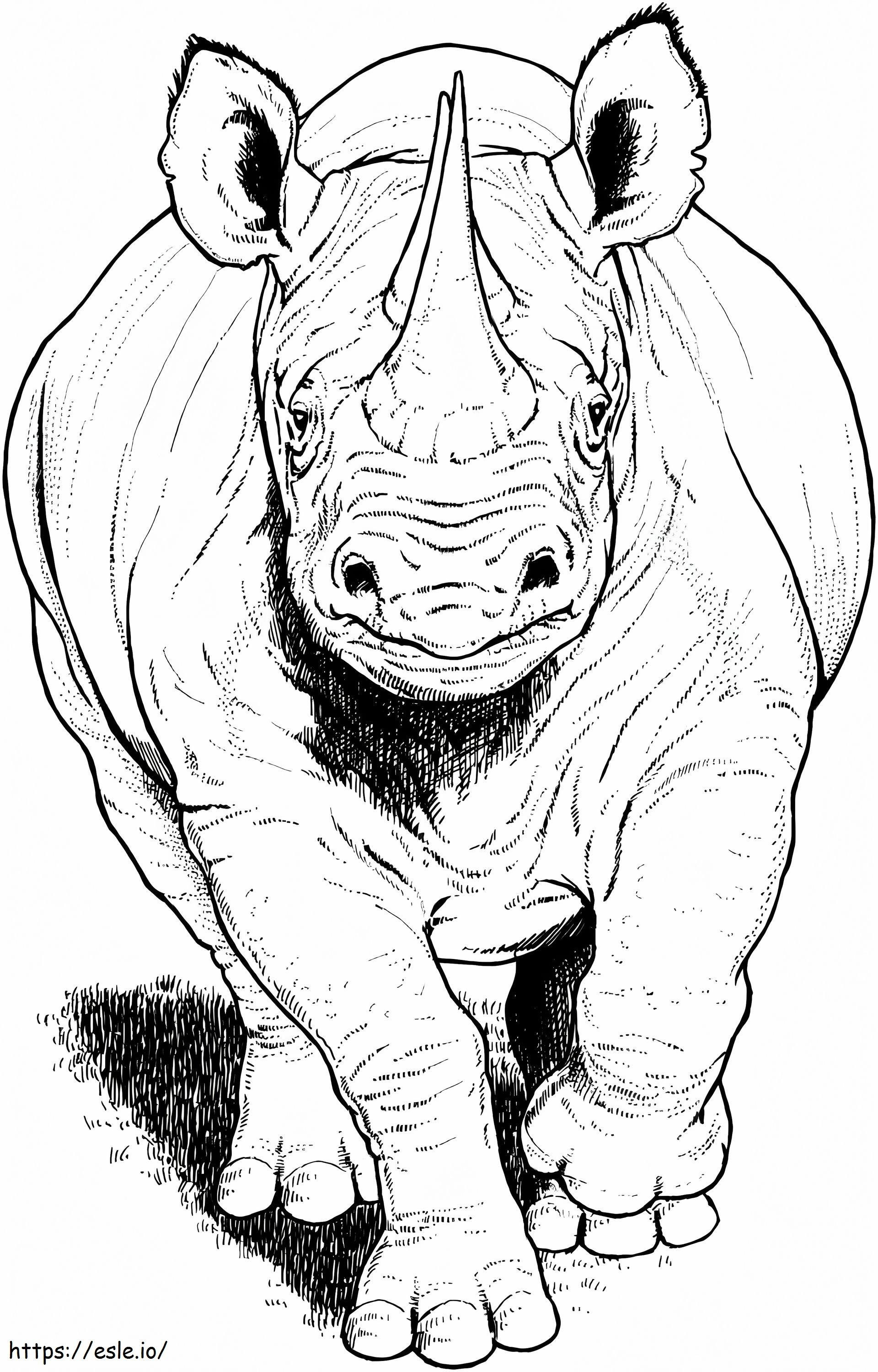 Rinoceronte nero in esecuzione da colorare