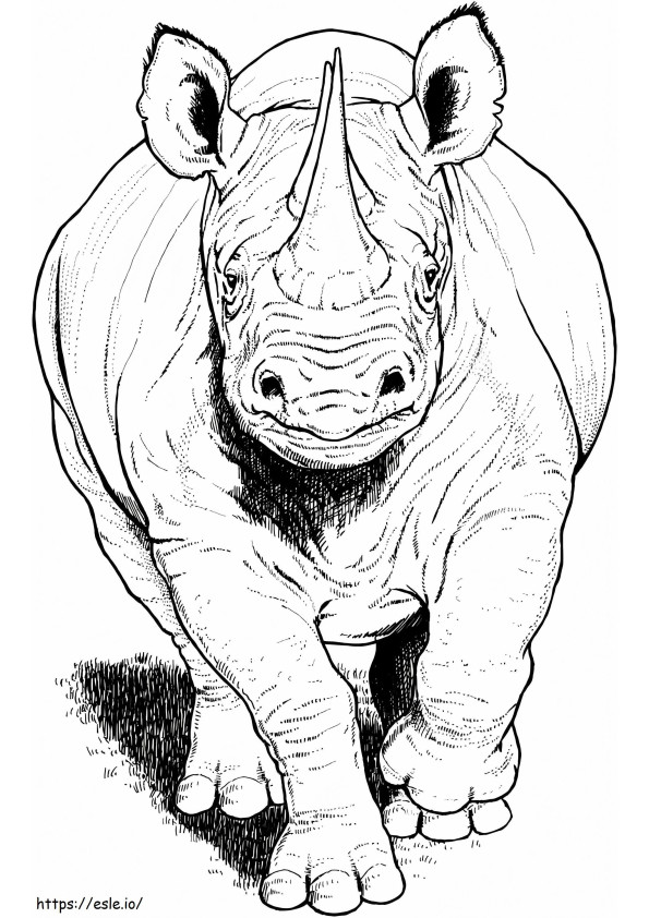 Rinoceronte negro corriendo para colorear