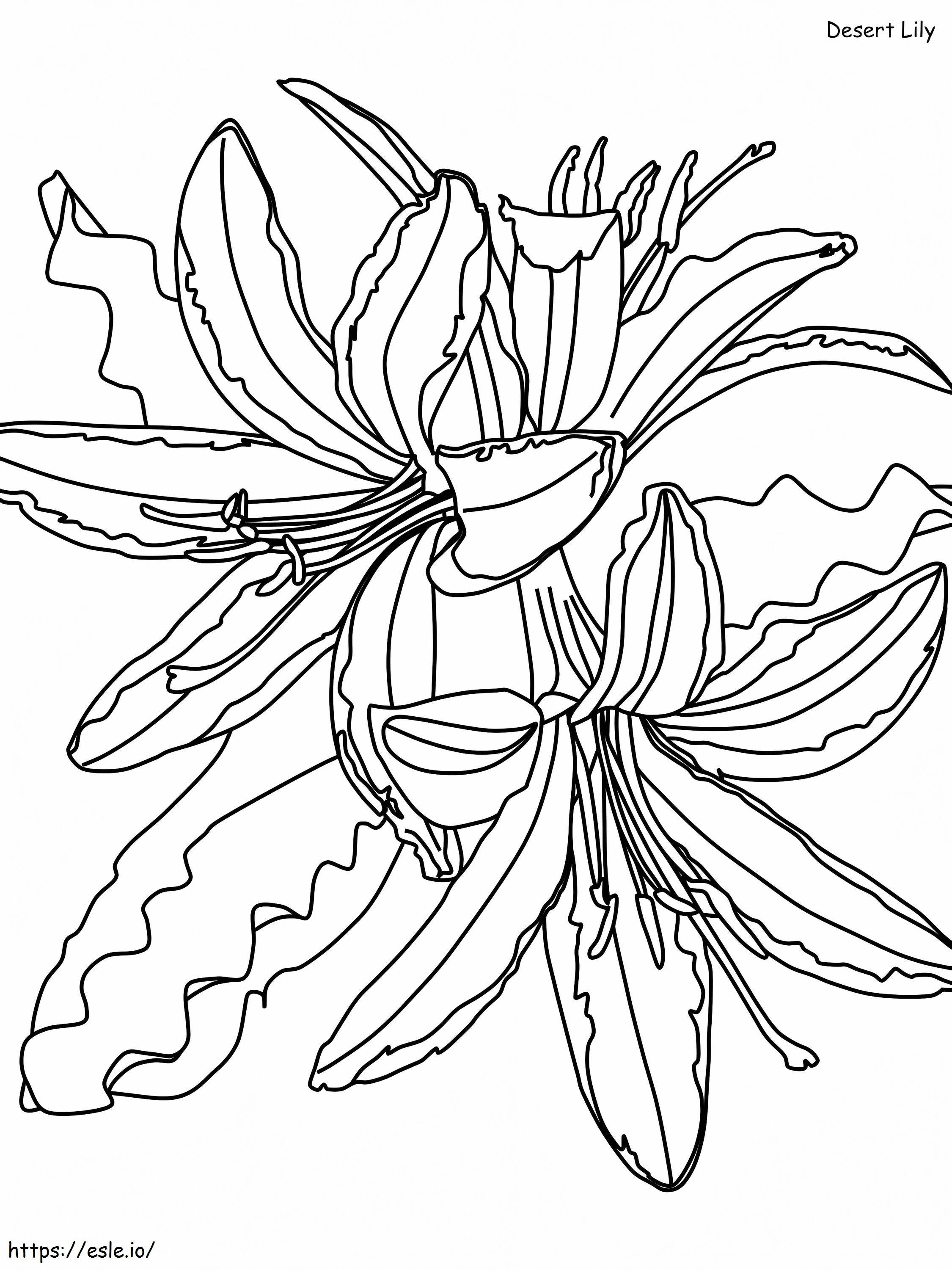 Lily4 coloring page