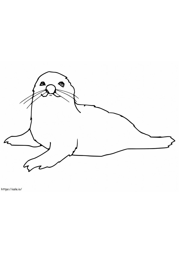 Lie Seal coloring page