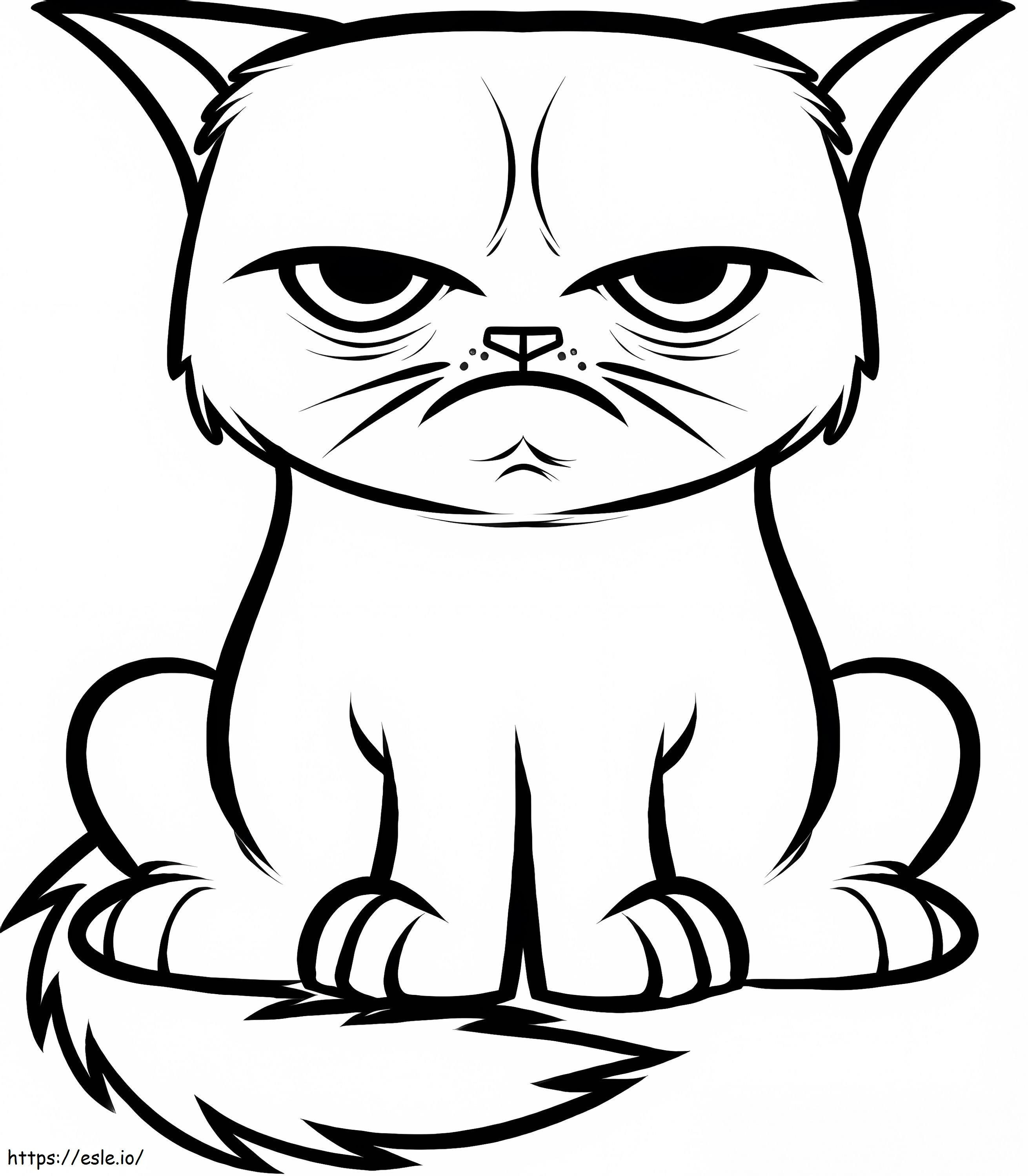 . Kızgın Kedi boyama
